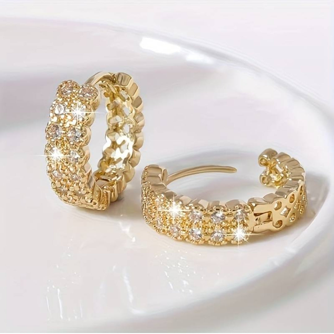 Boucles d'oreilles élégantes brillantes et nobles