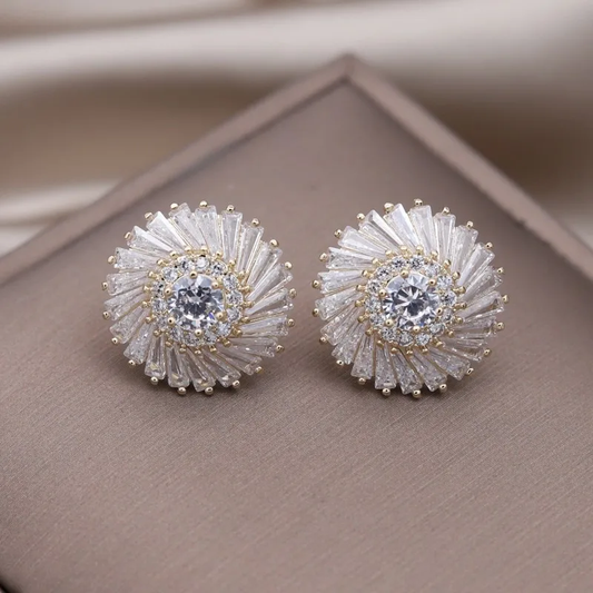 Boucles d'oreilles spirales élégantes